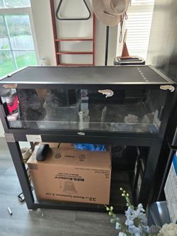 Dubia Leopard Gecko Tank and Stand