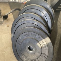 Bumper Plates - One Fit Wonder