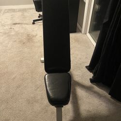 Bench Press 