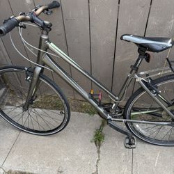 Giant Escape 2 Bike $140