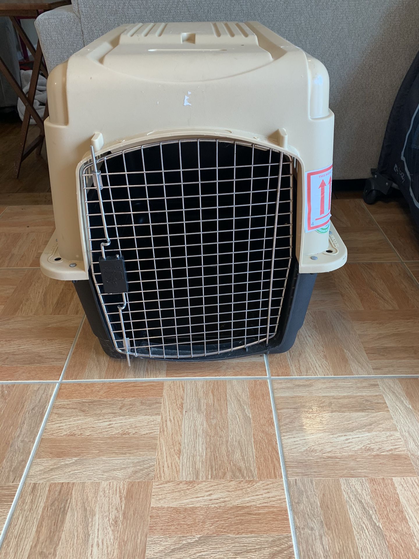 Dog or cat kennel