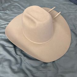 Silver belly 20x Cowboy Hat