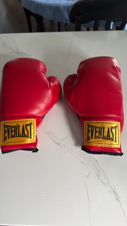 Everlast 12 oz Boxing Gloves