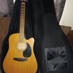 Johnson Acoustic And Electric Guitar
