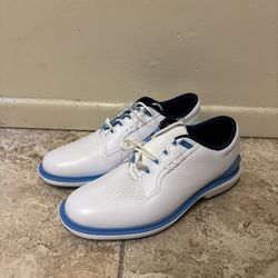 Air Jordan Golf Shoes Size 7.5