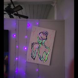 Custom Artwork Outlined With Working LED Lights!