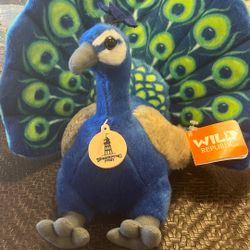 New With Tags Peacock Plush 