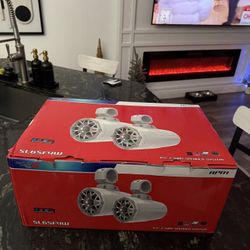 Cerwin Vega Tower Speakers