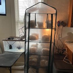 Complete Mushroom Grow Tent 
