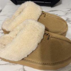 Bearpaw Slippers 