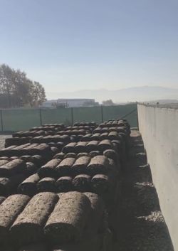 Tall fescue Grass installations