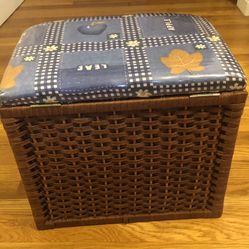 Brand New Braded With Liner Container 