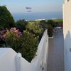david_555