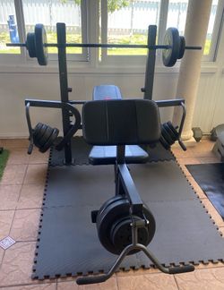 Weight Bench with Weight Plates