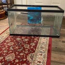 Reptiles Or Fish Tank