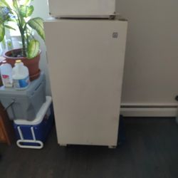 Small Freezer 