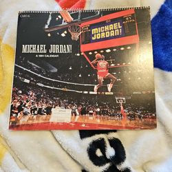 Vintage 1991 Miachael Air Jordan Calendar