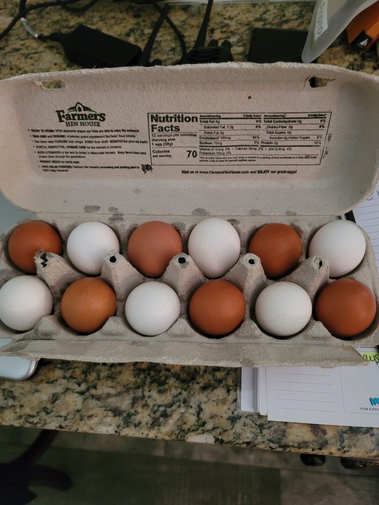 Free Range Organic Eggs