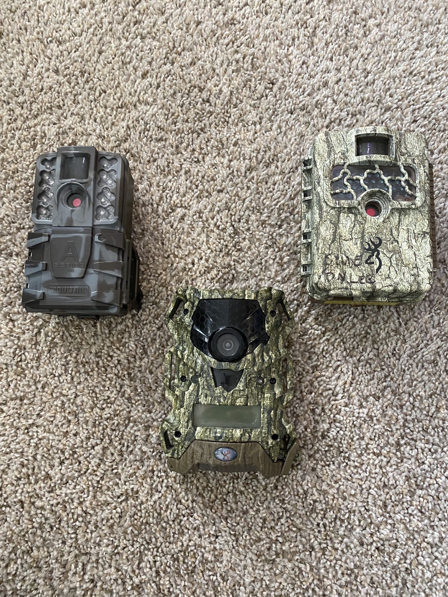Trail Cameras