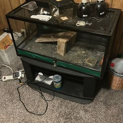 2 Habitats For Lizards, Snakes Etc.