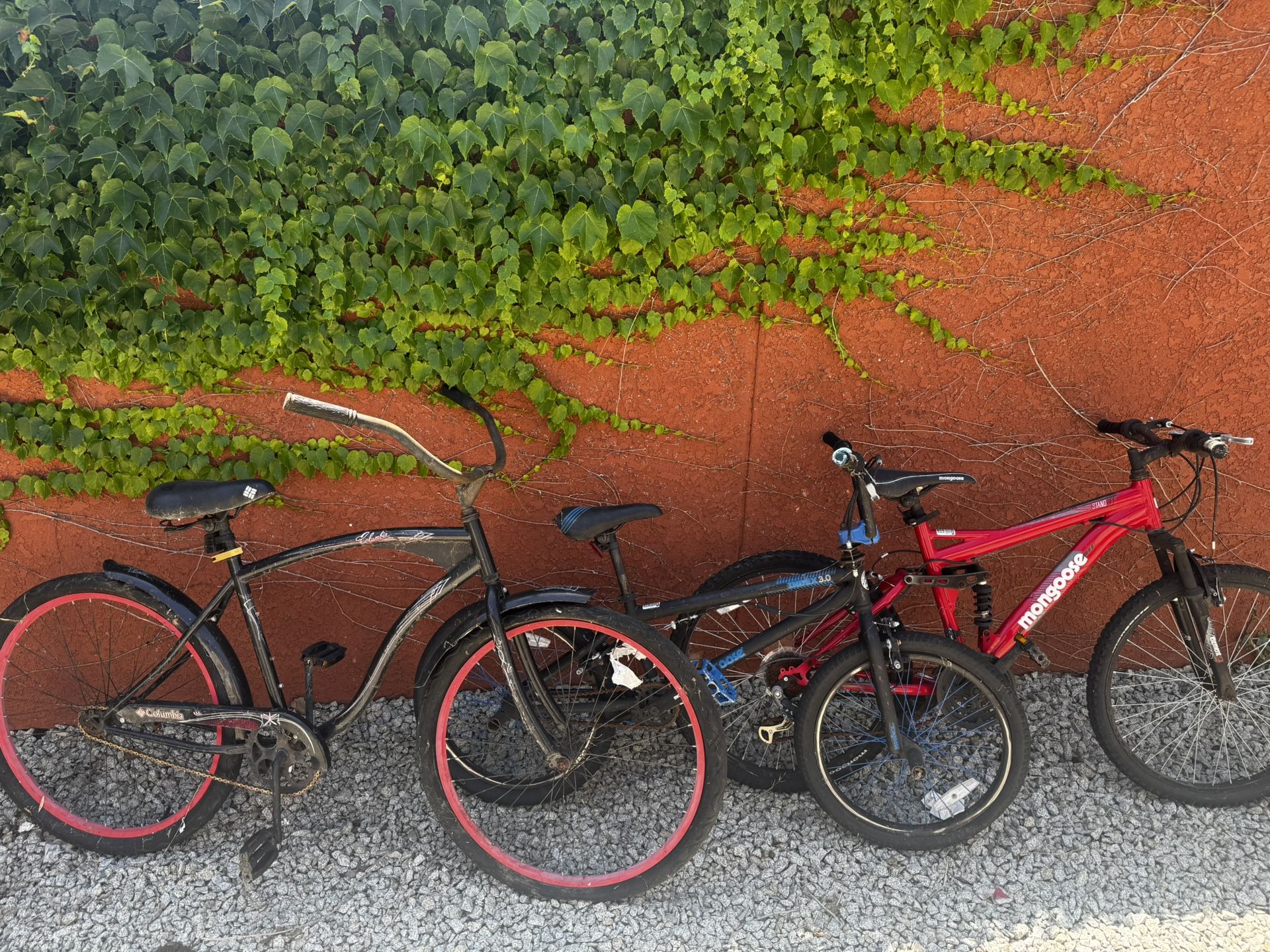 3 Bikes