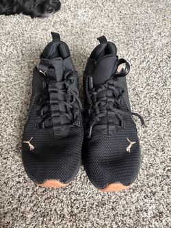 Pumas