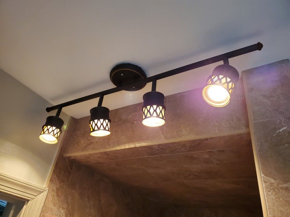 Track Lights = Bronze Oil Based