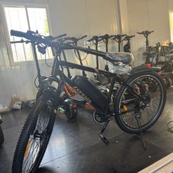 Electric bicycle