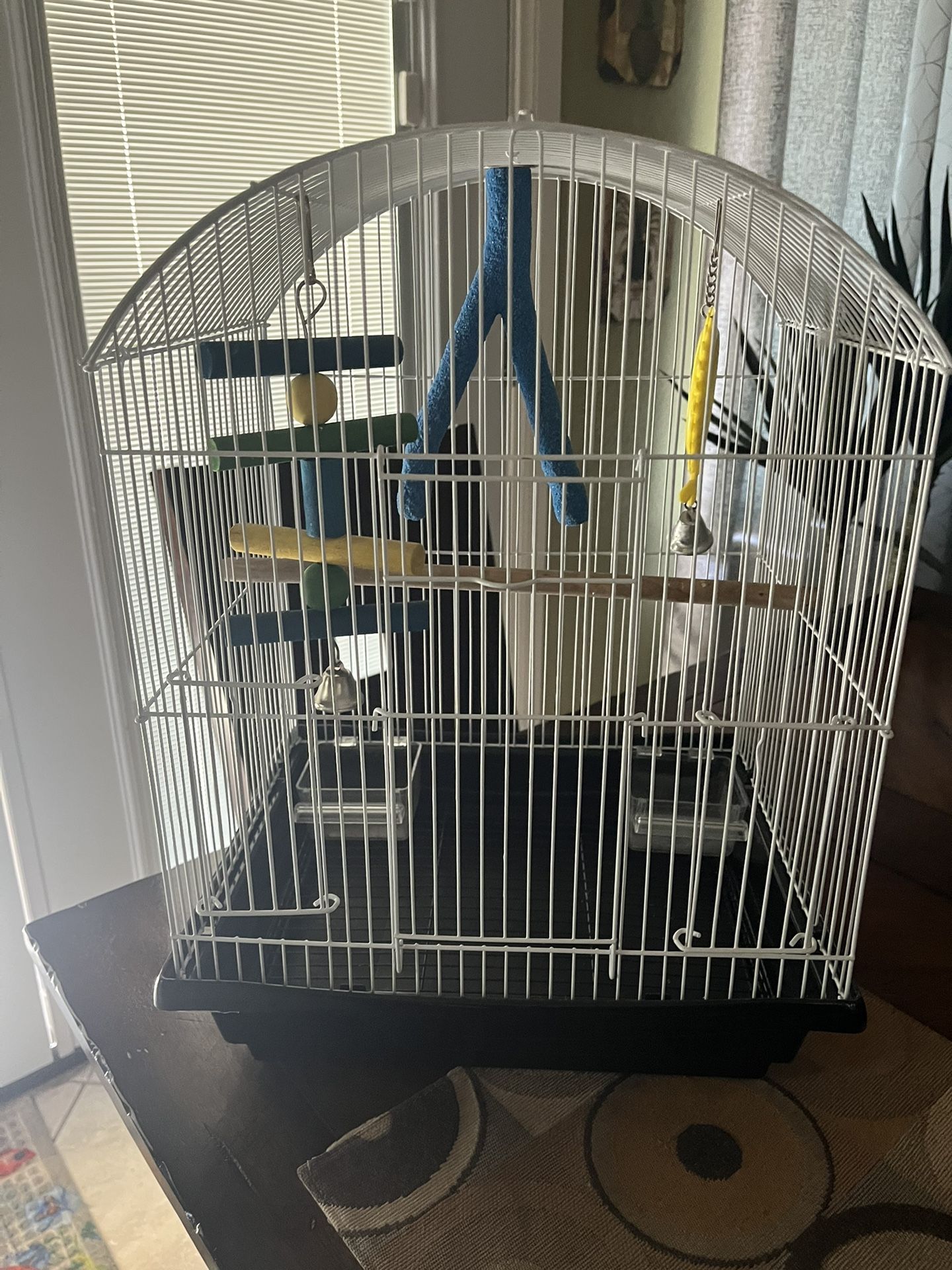 bird Cage