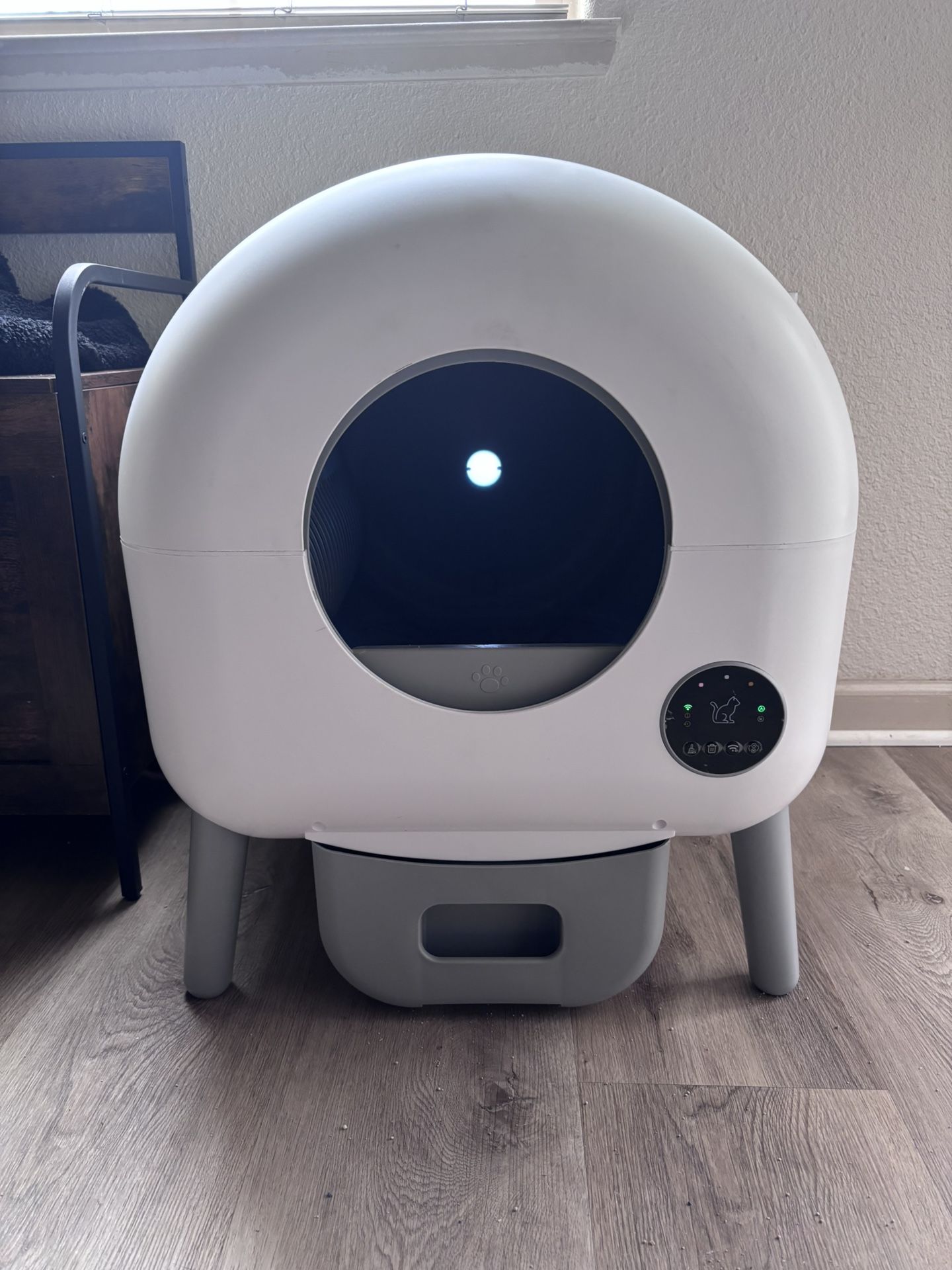 Kitten Litter Robot