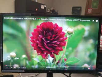 LG 24" LCD monitor