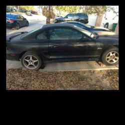 1998 Ford Mustang V8 Standard 