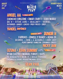 Baja Beach Fest VIP 3-day pass
