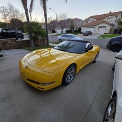 2002 Corvette 