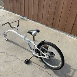 foldable bike passenger trailer (copilot weeride)