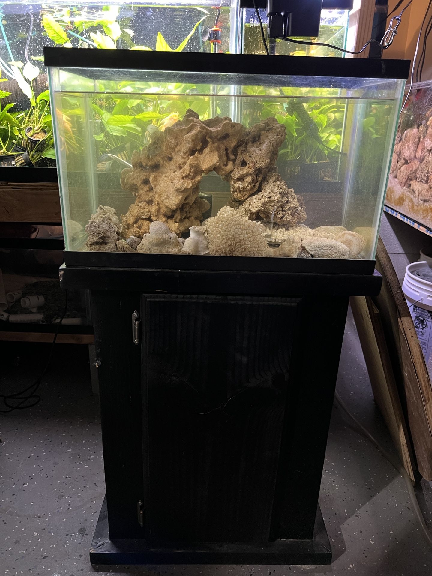 10 Gallon Saltwater Tank
