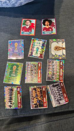 fifa panini