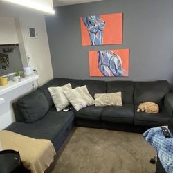 Free Couch / Sofa / Sectional