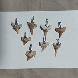 shark fossil pendants 