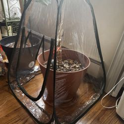  Green House For Single Plant 