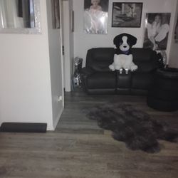 Recliner 2peace ,150 Have To Pick Up Couches And Black Couch Set89$  Too Stroge Box 10$