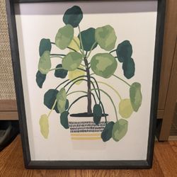 Chinese Money Coin/Pilea Painted Art