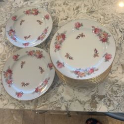 Vintage Plates X12
