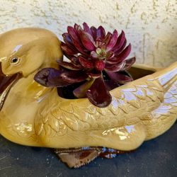 🦆 🔥 🦆 🪴 Collectible Fitz & Floyd - Large Ceramic Duck Planter – Vintage | Italy-Made 🇮🇹 