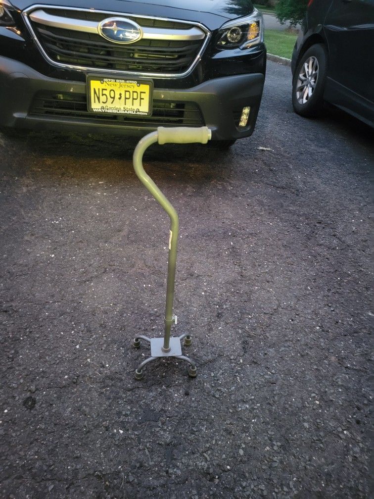 Walking Cane