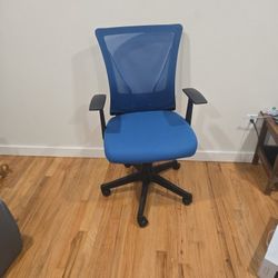 Realspace Radley Blue