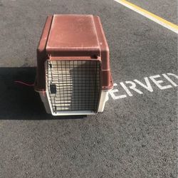 large dog case