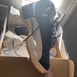 Air Jordan 12 Retro 