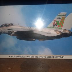 Hasegawa F-14A 'VF-211 Fighting Checkmates'