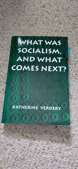 What Was Socialism, and What Comes Next? by Katherine Verdery